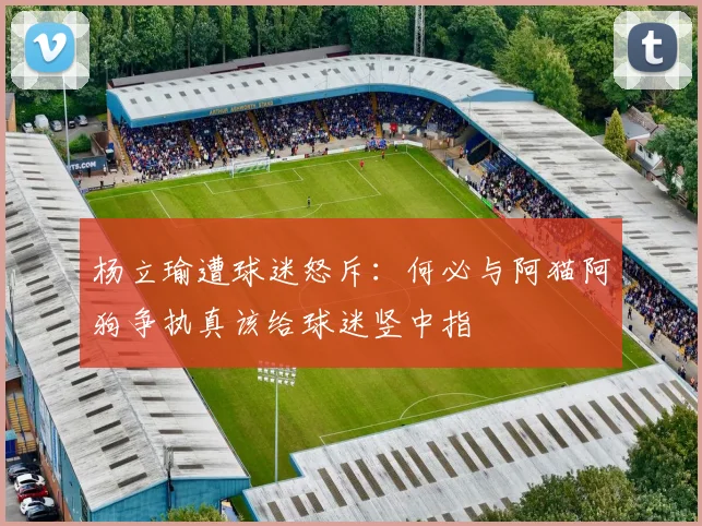 杨立瑜遭球迷怒斥：何必与阿猫阿狗争执真该给球迷竖中指