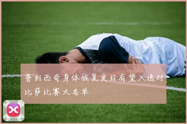 普利西奇身体恢复良好有望入选对比萨比赛大名单
