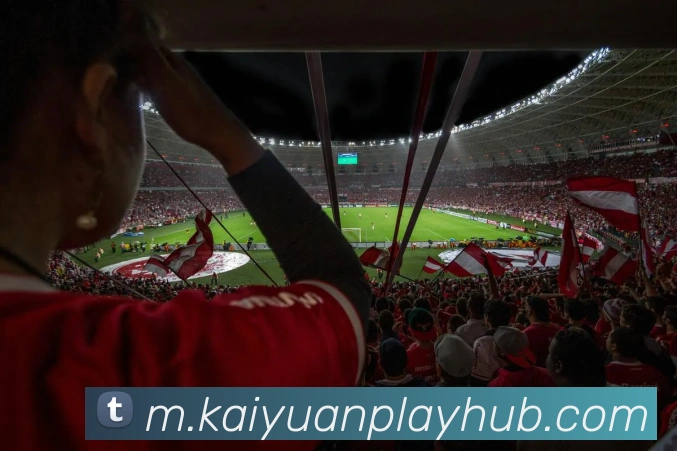 开元棋牌APP 封面图